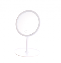 Espejo Con Luz Led Usb 27*17Cm 399