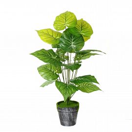Planta Artificial 70 Cm